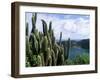 View from Fort Napoleon, Terre-De-Haut, Les Saintes, off Guadeloupe, French Antilles-Bruno Barbier-Framed Photographic Print