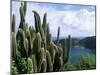 View from Fort Napoleon, Terre-De-Haut, Les Saintes, off Guadeloupe, French Antilles-Bruno Barbier-Mounted Photographic Print