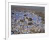 View from Fort of Blue Houses of Brahmin Caste Residents of City, Jodhpur, Rajasthan State, India-Harding Robert-Framed Photographic Print