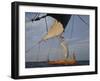 View from Gaia of Replica Viking Ship Oseberg, Chesapeake Bay, USA-David Lomax-Framed Photographic Print