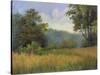 View from Grailville-Mary Jean Weber-Stretched Canvas