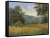 View from Grailville-Mary Jean Weber-Framed Stretched Canvas