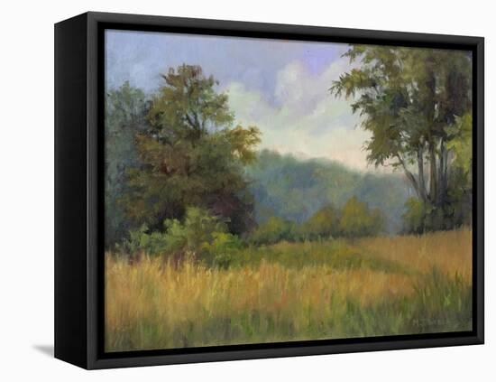 View from Grailville-Mary Jean Weber-Framed Stretched Canvas