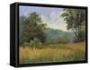 View from Grailville-Mary Jean Weber-Framed Stretched Canvas