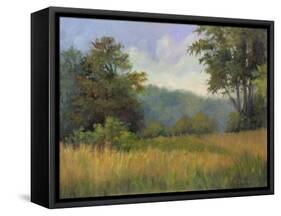 View from Grailville-Mary Jean Weber-Framed Stretched Canvas