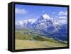 View from Grindelwald-Frist to Wetterhorn, Bernese Oberland, Swiss Alps, Switzerland, Europe-Hans Peter Merten-Framed Stretched Canvas