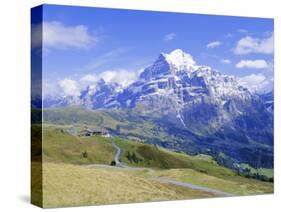 View from Grindelwald-Frist to Wetterhorn, Bernese Oberland, Swiss Alps, Switzerland, Europe-Hans Peter Merten-Stretched Canvas