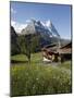 View from Grindelwald to Eiger, Bernese Oberland, Swiss Alps, Switzerland, Europe-Hans Peter Merten-Mounted Photographic Print