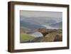 View from Hathersage Edge to Ladybower Reservoir and Derwent Valley, Peak District National Park, D-Tim Winter-Framed Photographic Print