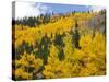 View from Highway 34, Rocky Mountain National Park, Colorado, USA-Jamie & Judy Wild-Stretched Canvas