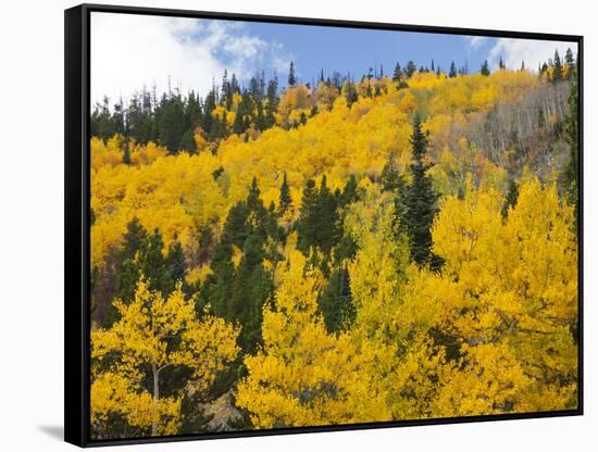 View from Highway 34, Rocky Mountain National Park, Colorado, USA-Jamie & Judy Wild-Framed Stretched Canvas