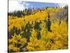 View from Highway 34, Rocky Mountain National Park, Colorado, USA-Jamie & Judy Wild-Stretched Canvas