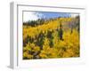 View from Highway 34, Rocky Mountain National Park, Colorado, USA-Jamie & Judy Wild-Framed Photographic Print
