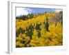 View from Highway 34, Rocky Mountain National Park, Colorado, USA-Jamie & Judy Wild-Framed Photographic Print