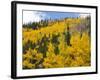 View from Highway 34, Rocky Mountain National Park, Colorado, USA-Jamie & Judy Wild-Framed Photographic Print