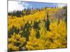 View from Highway 34, Rocky Mountain National Park, Colorado, USA-Jamie & Judy Wild-Mounted Photographic Print