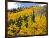 View from Highway 34, Rocky Mountain National Park, Colorado, USA-Jamie & Judy Wild-Framed Photographic Print