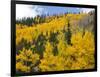 View from Highway 34, Rocky Mountain National Park, Colorado, USA-Jamie & Judy Wild-Framed Photographic Print