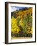 View from Highway 34, Rocky Mountain National Park, Colorado, USA-Jamie & Judy Wild-Framed Photographic Print