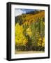 View from Highway 34, Rocky Mountain National Park, Colorado, USA-Jamie & Judy Wild-Framed Photographic Print