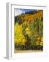 View from Highway 34, Rocky Mountain National Park, Colorado, USA-Jamie & Judy Wild-Framed Photographic Print