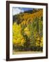 View from Highway 34, Rocky Mountain National Park, Colorado, USA-Jamie & Judy Wild-Framed Photographic Print