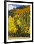 View from Highway 34, Rocky Mountain National Park, Colorado, USA-Jamie & Judy Wild-Framed Photographic Print