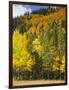 View from Highway 34, Rocky Mountain National Park, Colorado, USA-Jamie & Judy Wild-Framed Photographic Print