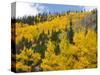 View from Highway 34, Rocky Mountain National Park, Colorado, USA-Jamie & Judy Wild-Stretched Canvas