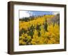 View from Highway 34, Rocky Mountain National Park, Colorado, USA-Jamie & Judy Wild-Framed Photographic Print