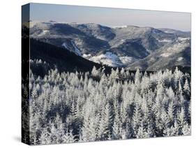 View from Hohlohturm Tower over Northern Black Forest-Marcus Lange-Stretched Canvas