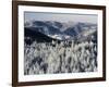 View from Hohlohturm Tower over Northern Black Forest-Marcus Lange-Framed Photographic Print