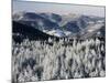 View from Hohlohturm Tower over Northern Black Forest-Marcus Lange-Mounted Photographic Print