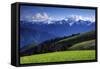 View from Hurricane Ridge, Olympic National Park, Washington, USA-Michel Hersen-Framed Stretched Canvas