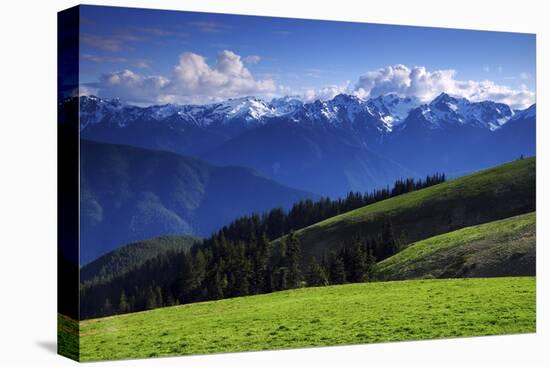 View from Hurricane Ridge, Olympic National Park, Washington, USA-Michel Hersen-Stretched Canvas