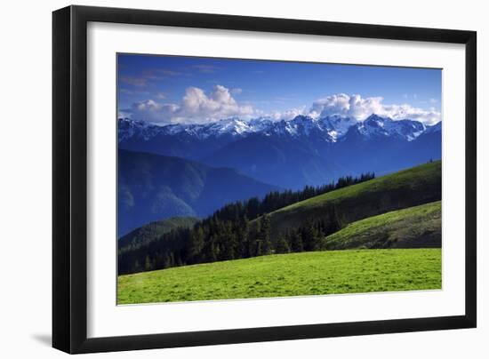 View from Hurricane Ridge, Olympic National Park, Washington, USA-Michel Hersen-Framed Photographic Print