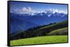 View from Hurricane Ridge, Olympic National Park, Washington, USA-Michel Hersen-Framed Stretched Canvas