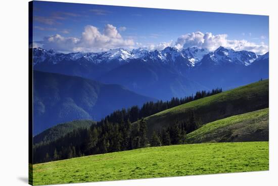 View from Hurricane Ridge, Olympic National Park, Washington, USA-Michel Hersen-Stretched Canvas