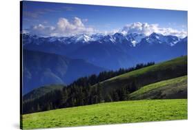 View from Hurricane Ridge, Olympic National Park, Washington, USA-Michel Hersen-Stretched Canvas