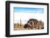 View from Incahuasi Island-jkraft5-Framed Photographic Print