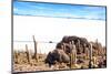 View from Incahuasi Island-jkraft5-Mounted Photographic Print