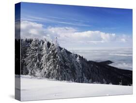 View from Kandel Mountain, Black Forest, Baden Wurttemberg, Germany, Europe-Marcus Lange-Stretched Canvas