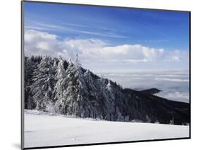 View from Kandel Mountain, Black Forest, Baden Wurttemberg, Germany, Europe-Marcus Lange-Mounted Photographic Print