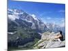 View from Kleine Scheidegg to Jungfrau, Bernese Oberland, Switzerland-Hans Peter Merten-Mounted Photographic Print