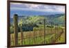 View from Knights Gambit Vineyard, Dundee, Yamhill County, Oregon, USA-Janis Miglavs-Framed Photographic Print