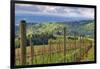 View from Knights Gambit Vineyard, Dundee, Yamhill County, Oregon, USA-Janis Miglavs-Framed Photographic Print