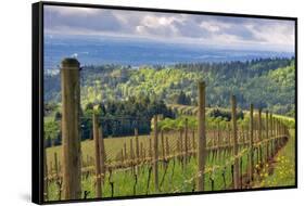 View from Knights Gambit Vineyard, Dundee, Yamhill County, Oregon, USA-Janis Miglavs-Framed Stretched Canvas