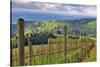 View from Knights Gambit Vineyard, Dundee, Yamhill County, Oregon, USA-Janis Miglavs-Stretched Canvas