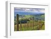 View from Knights Gambit Vineyard, Dundee, Yamhill County, Oregon, USA-Janis Miglavs-Framed Photographic Print