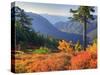 View from Kulshan Ridge, Heather Meadows Recreation Area, Washington, Usa-Jamie & Judy Wild-Stretched Canvas